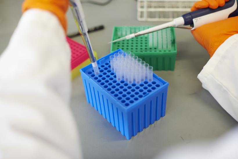 A lab technician pipetting samples in a GOSH lab