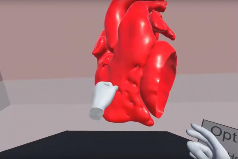 VR model of a heart