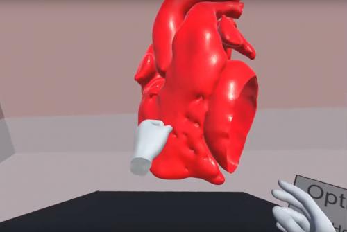VR model of a heart