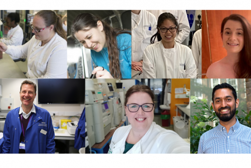 Healthcare scientists at GOSH 